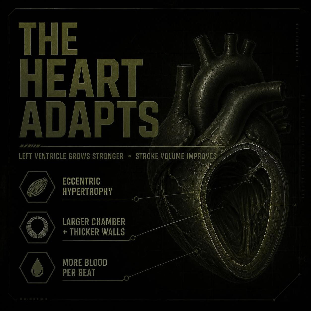 46 BPM Resting Heart Rate Without Running: A Tactical Athlete's Hip Replacement Story