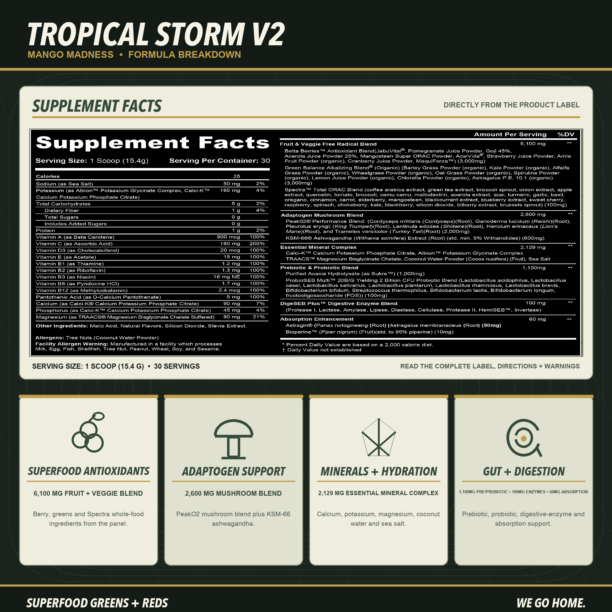 Tropical Storm V2