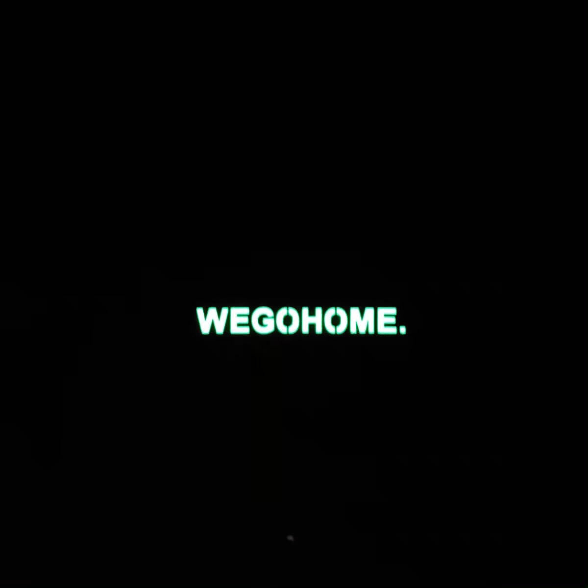 WE GO HOME PATCH - RANGER GREEN/GLOW IN THE DARK