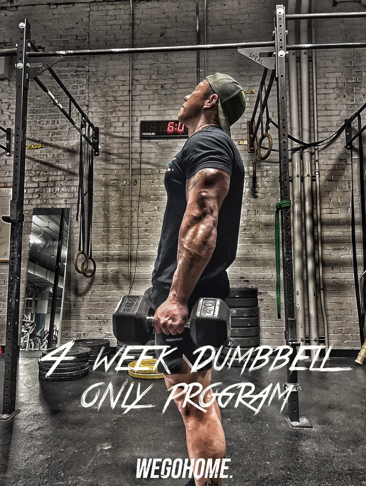 4 Week Dumbbell Only Program